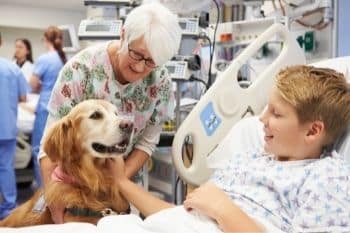 therapie met dieren goed voor ontwikkeling en zelfstandigheid